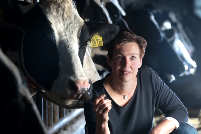 Biologische melk wendydekoning boerderij het vertrouwen